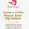 Chanpou delika 945