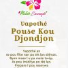 Vapothé 969